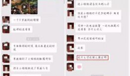 星期天爆料视频大全集播放,精彩瞬间一网打尽
