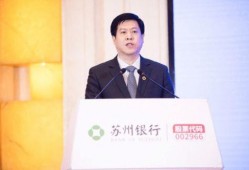 苏州银行行长爆料视频,揭秘银行业内幕与挑战