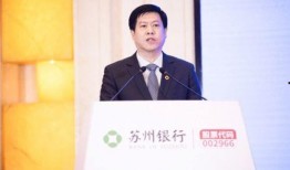苏州银行行长爆料视频,揭秘银行业内幕与挑战