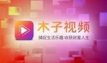 关于木子爆料的视频大全,视频大全背后的惊人真相
