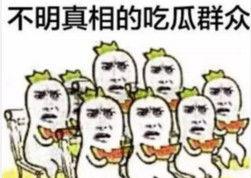 微信里的表情包吃瓜什么意思