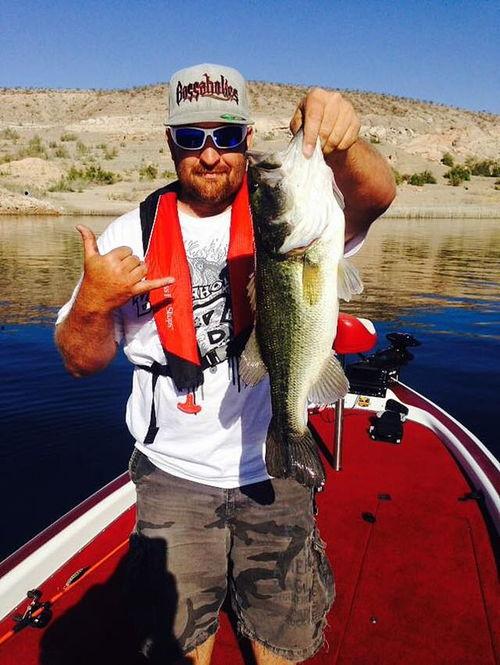 娱乐吃瓜钓鱼视频大全最新,娱乐吃瓜钓鱼视频大盘点，笑料百出，精彩纷呈！