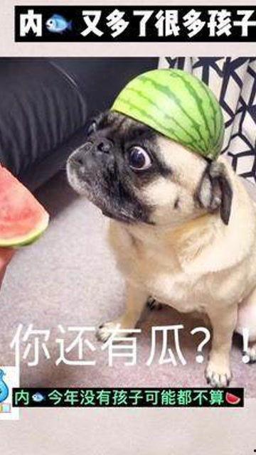 娱乐是个圈吃瓜群众散